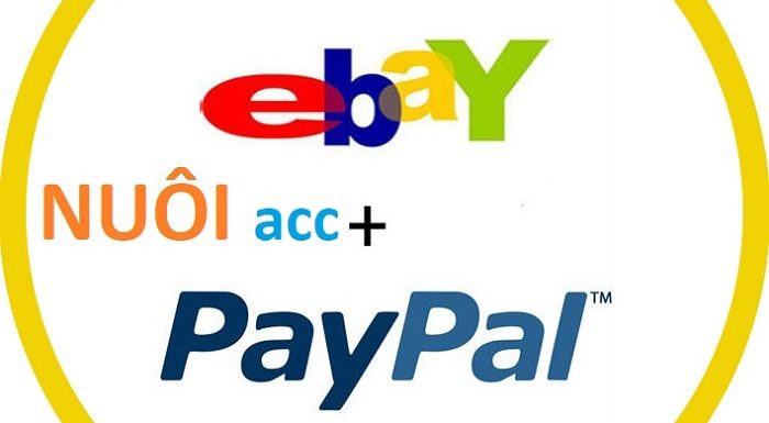 Hướng dẫn mua VPS nuôi account Ebay, Amazon, Paypal, Facebook ADS... Hiệu quả và uy tín